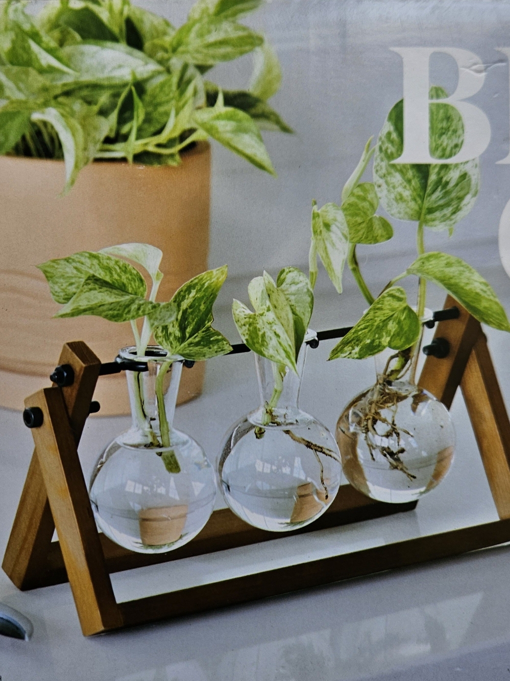 Wood and Glass Triple Hanging Propagation Station - Brown
